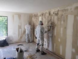 Best Commercial Mold Inspection in La Center, WA